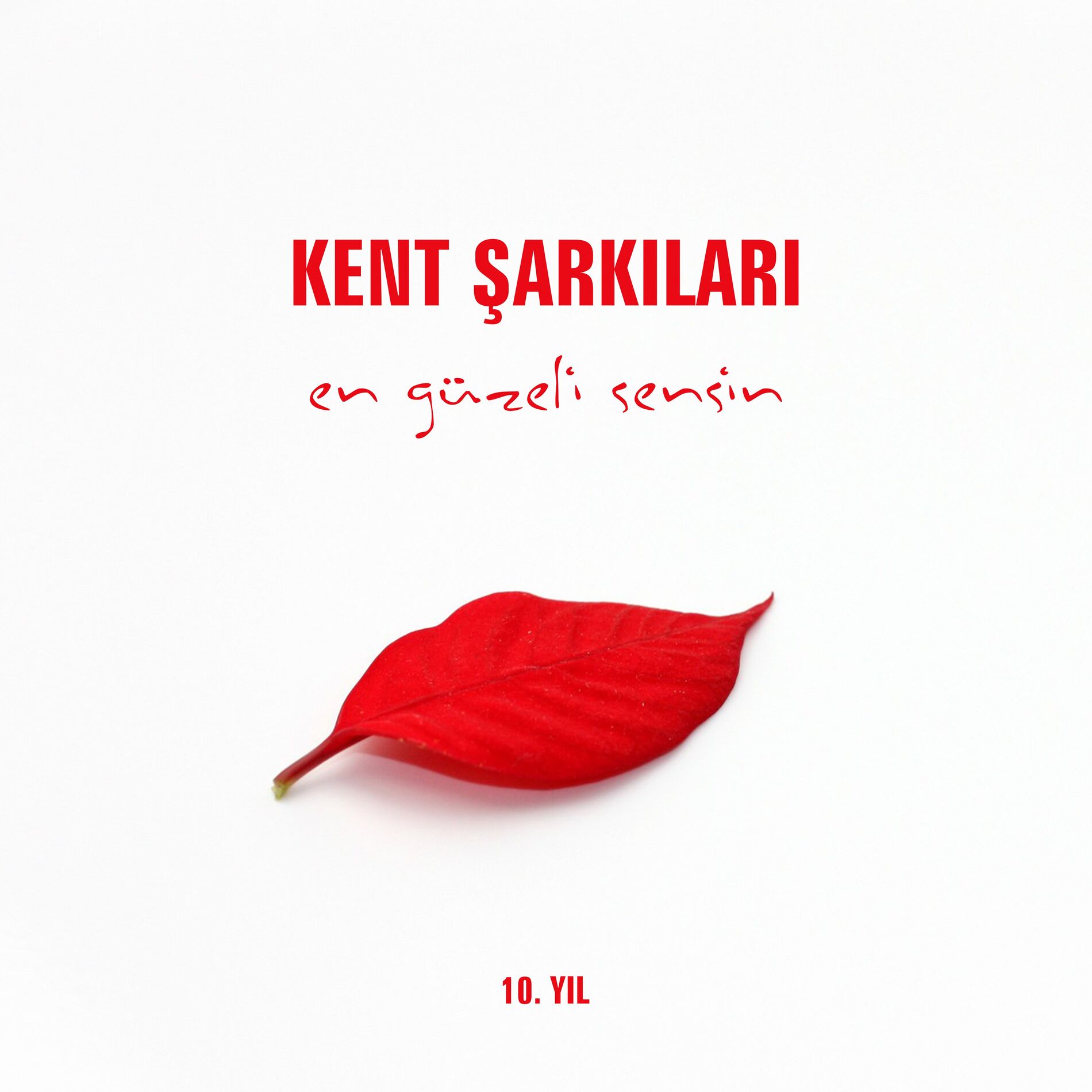 Album cover of En Güzeli Sensin (10. Yıl)