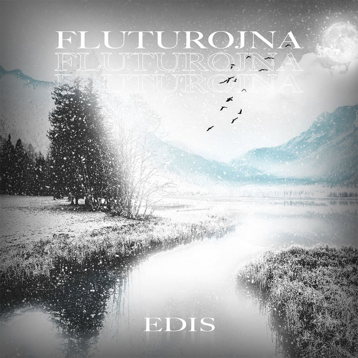 Album cover of Fluturojna