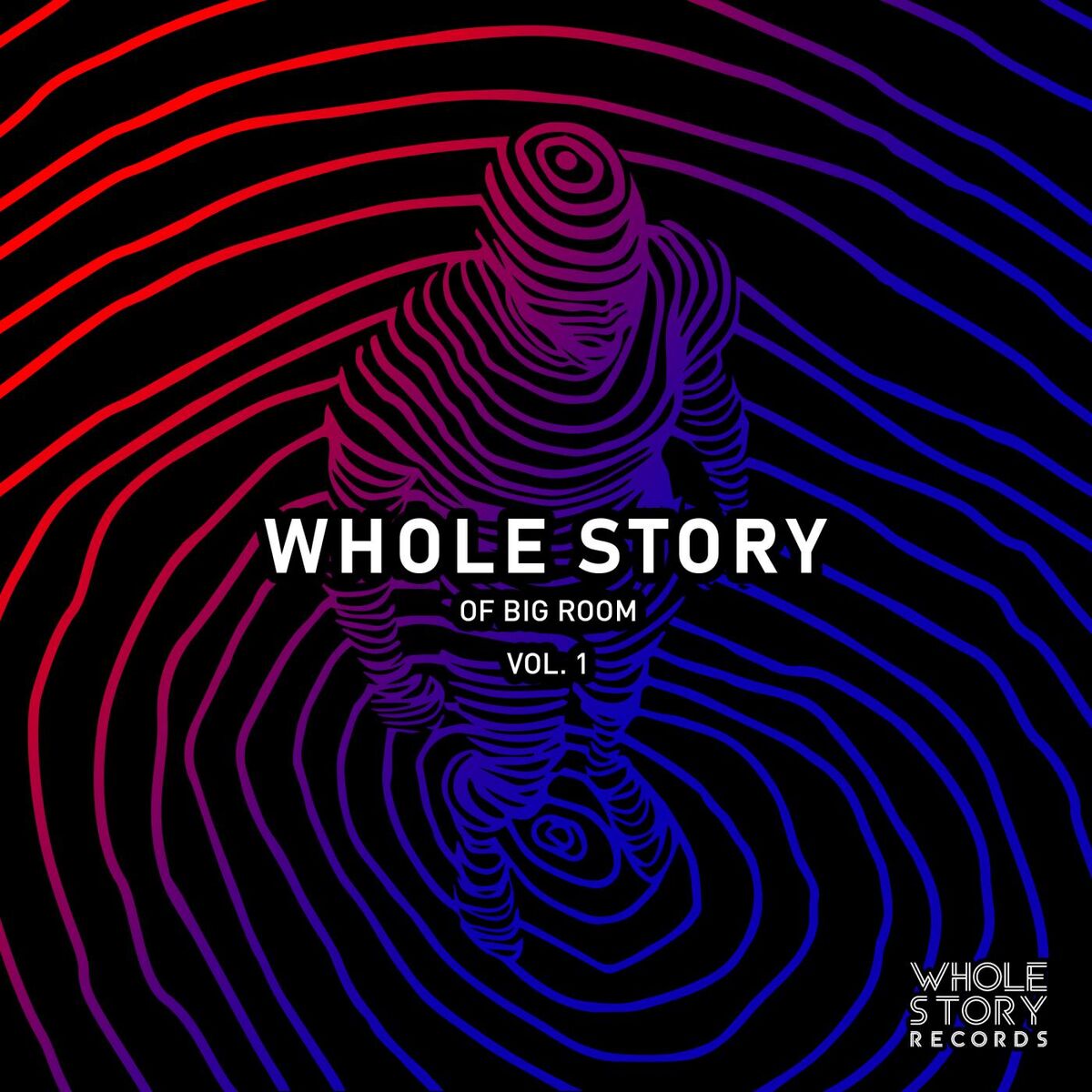 Album cover of Whole Story Of Big Room Vol. 1