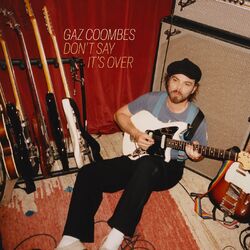 Cover of Don't Say It's Over