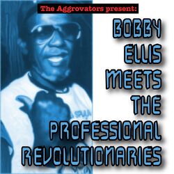 Cover of The Aggrovators Present: Bobby Ellis Meets the Professional Revolutionaries