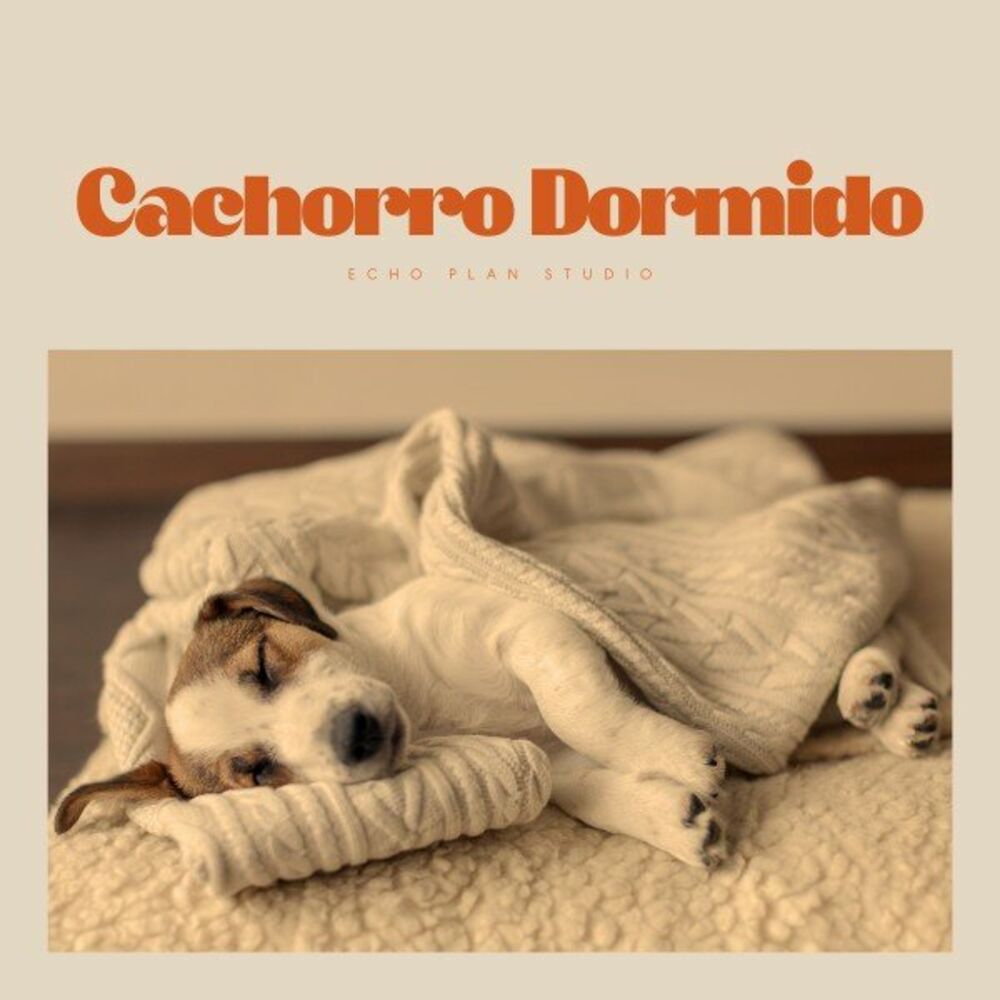 Picture of Cachorro Dormido