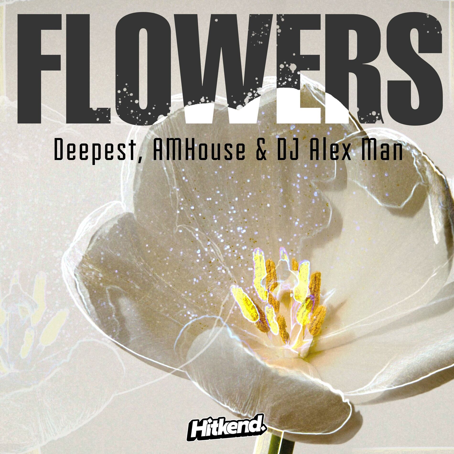 Album cover of Flowers