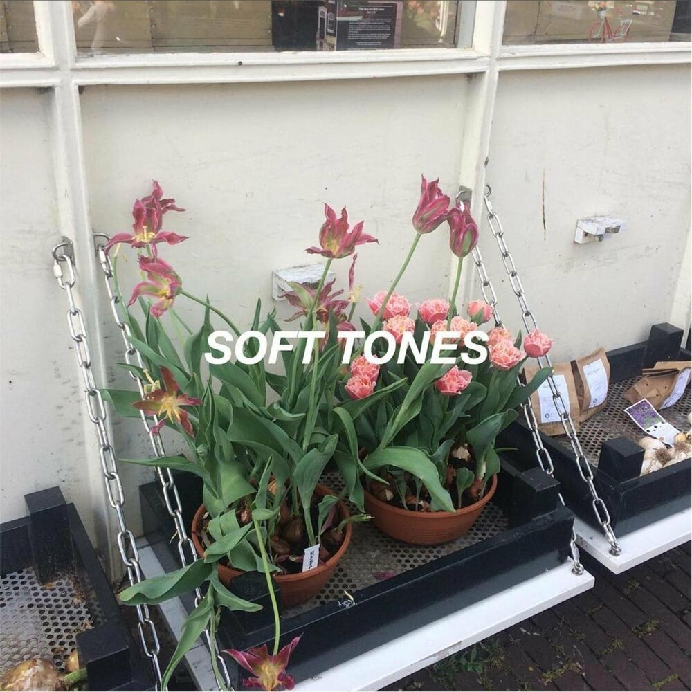Picture of Soft Tones