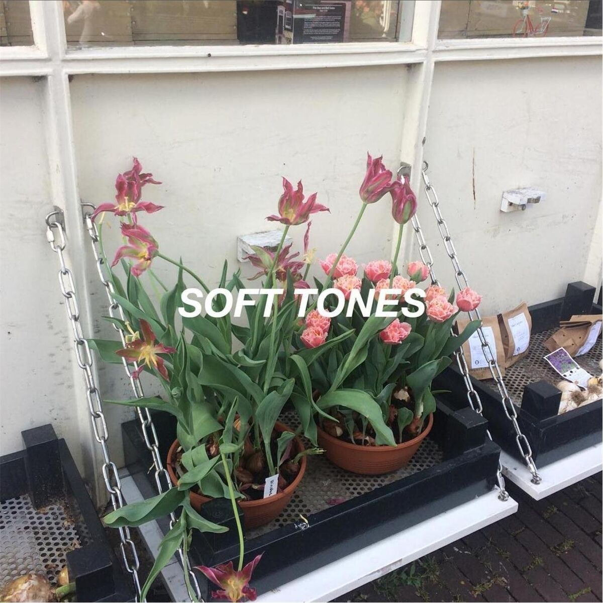 Album cover of Soft Tones