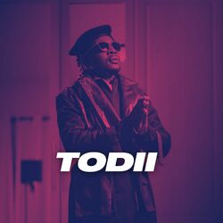 Cover of Todii