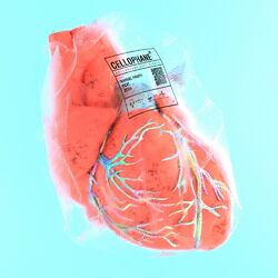 Cover of Cellophane