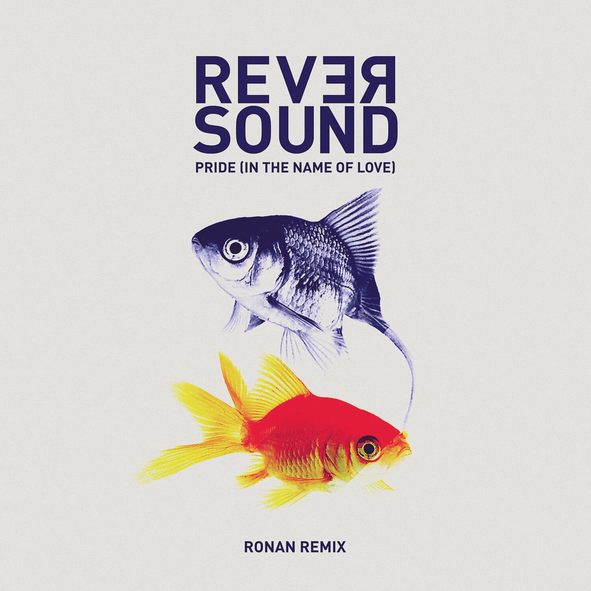 Album cover of Pride (In the Name of Love) (Ronan Remix)