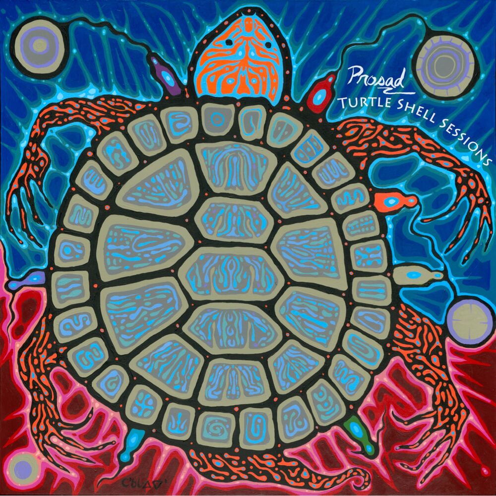 Picture of Turtle Shell Sessions