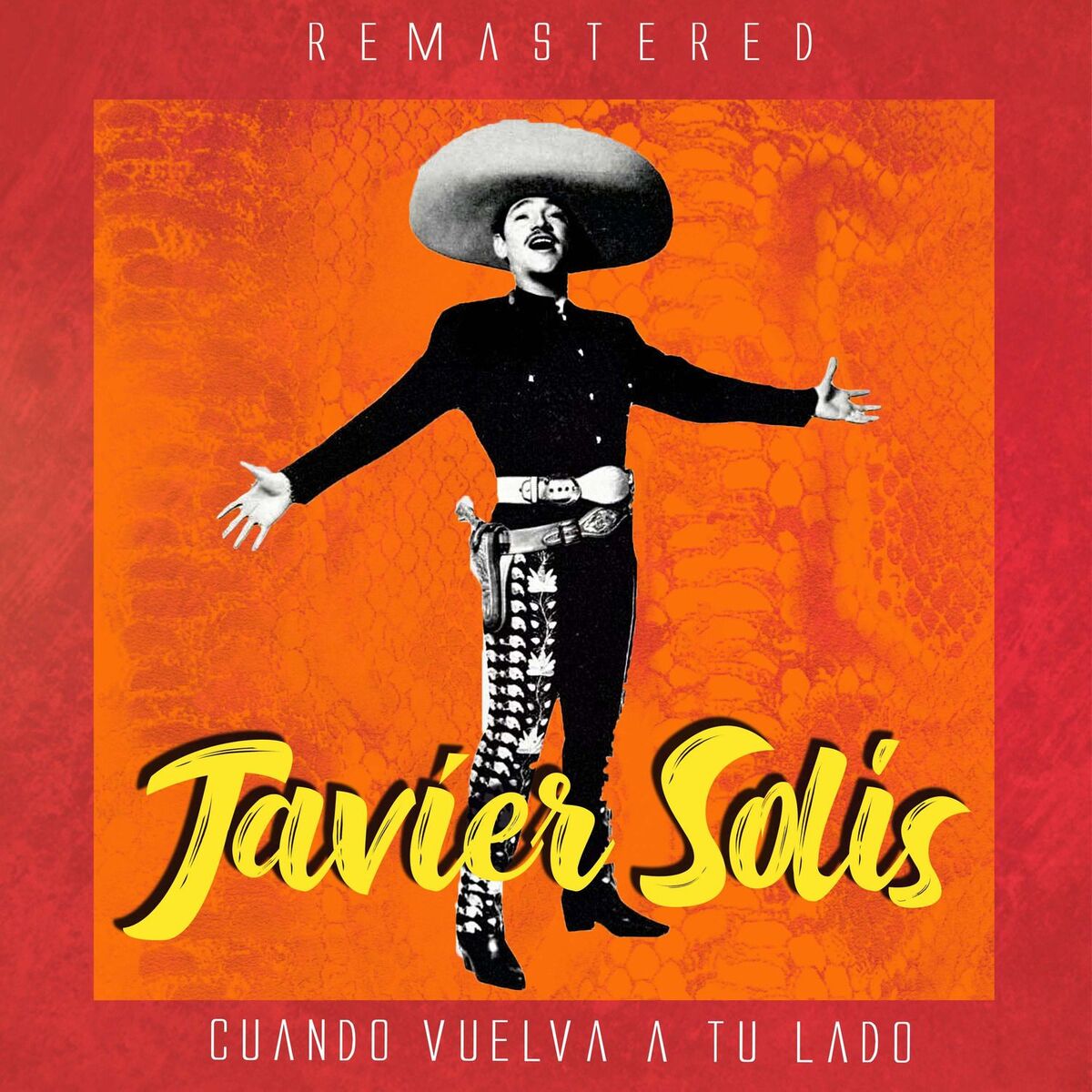 Album cover of Cuando vuelva a tu lado (Remastered)