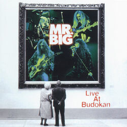 Cover of Live At Budokan