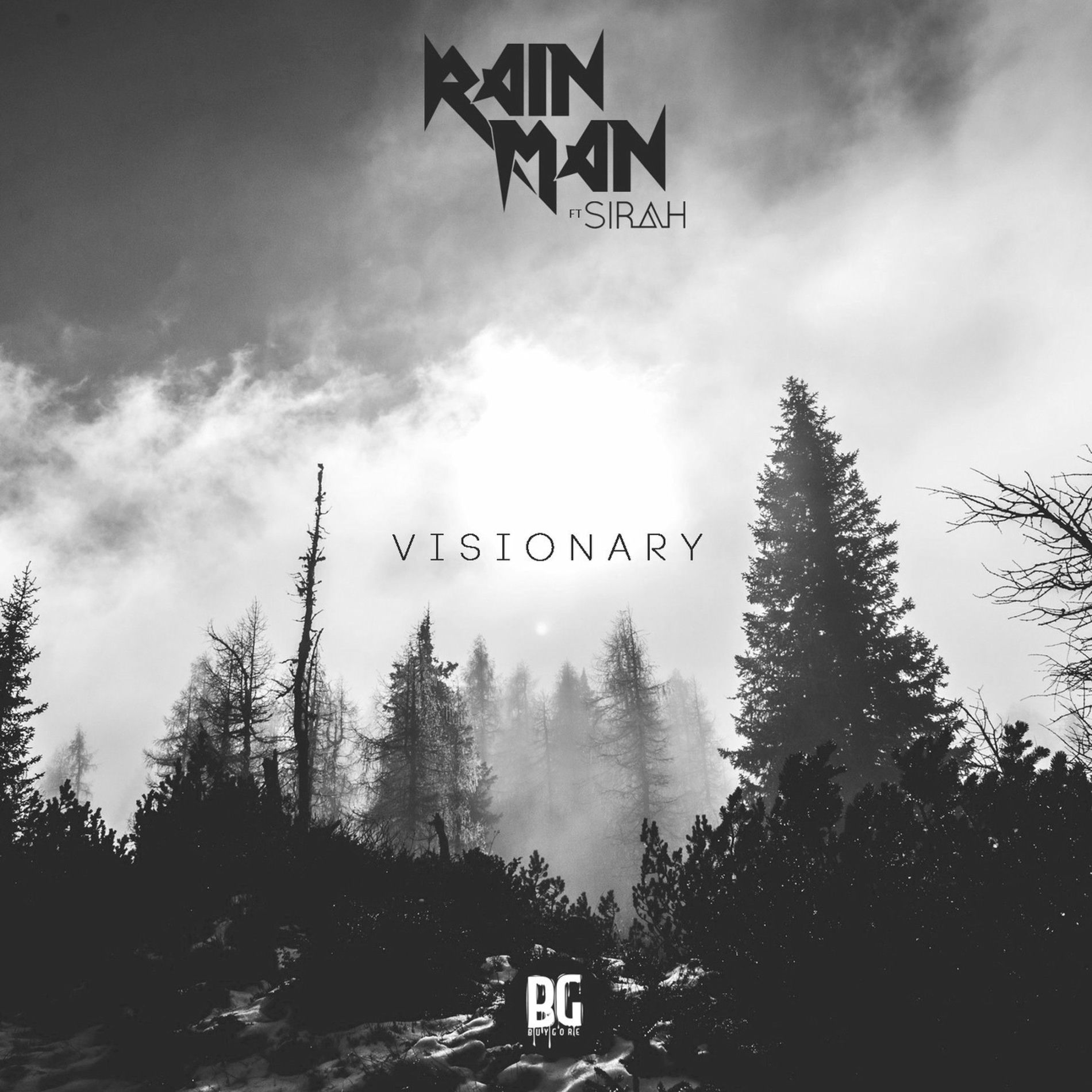 Album cover of Visionary