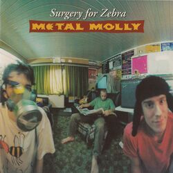 Cover of Surgery for Zebra