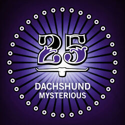 Cover of Mysterious