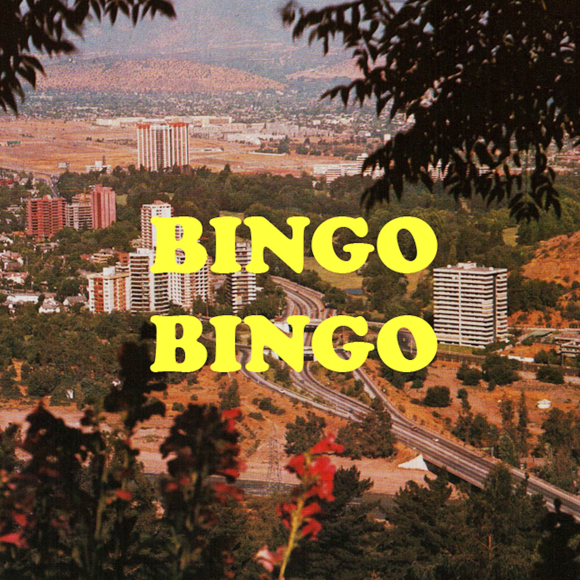 Album cover of Bingo Bingo