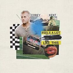 Cover of Feels a Lot Like This