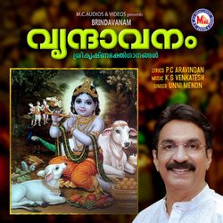 Cover of Brindavanam