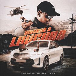 Cover of Vivendo a Loucura
