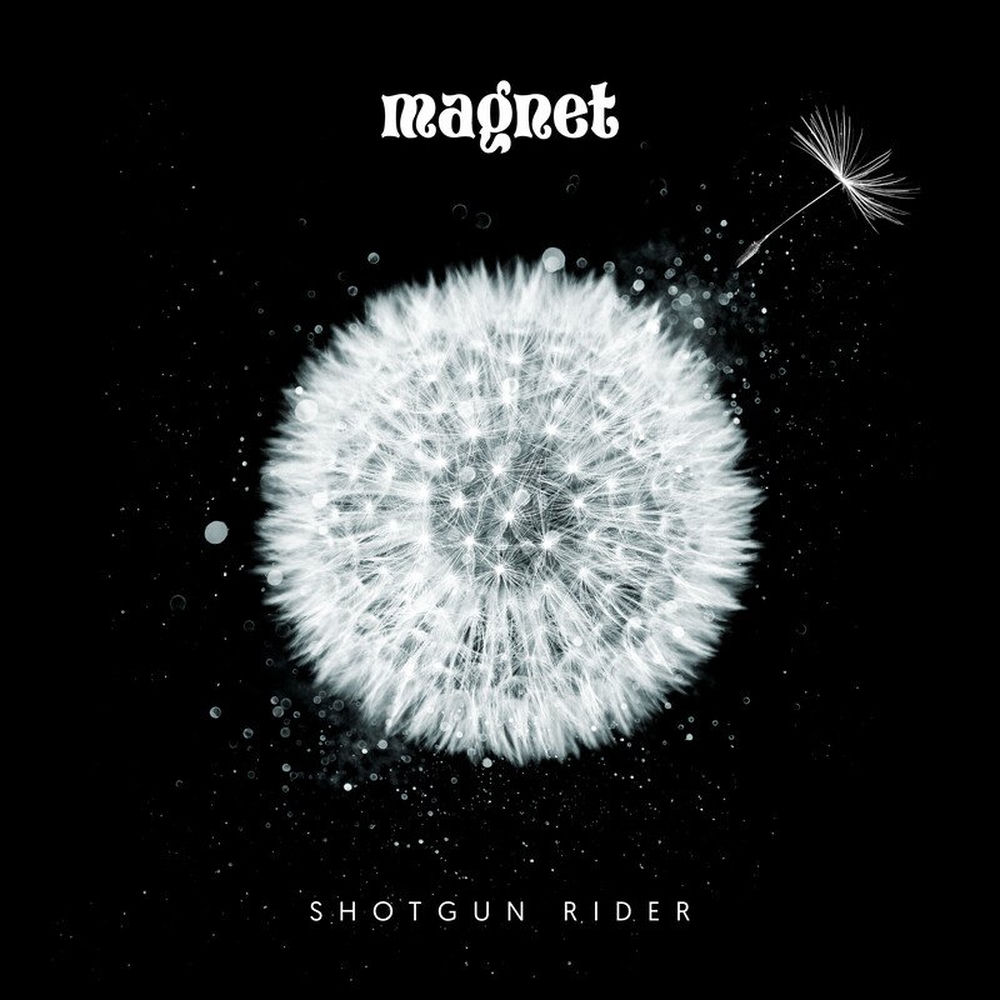 Album artwork for Deja Vu by Magnet