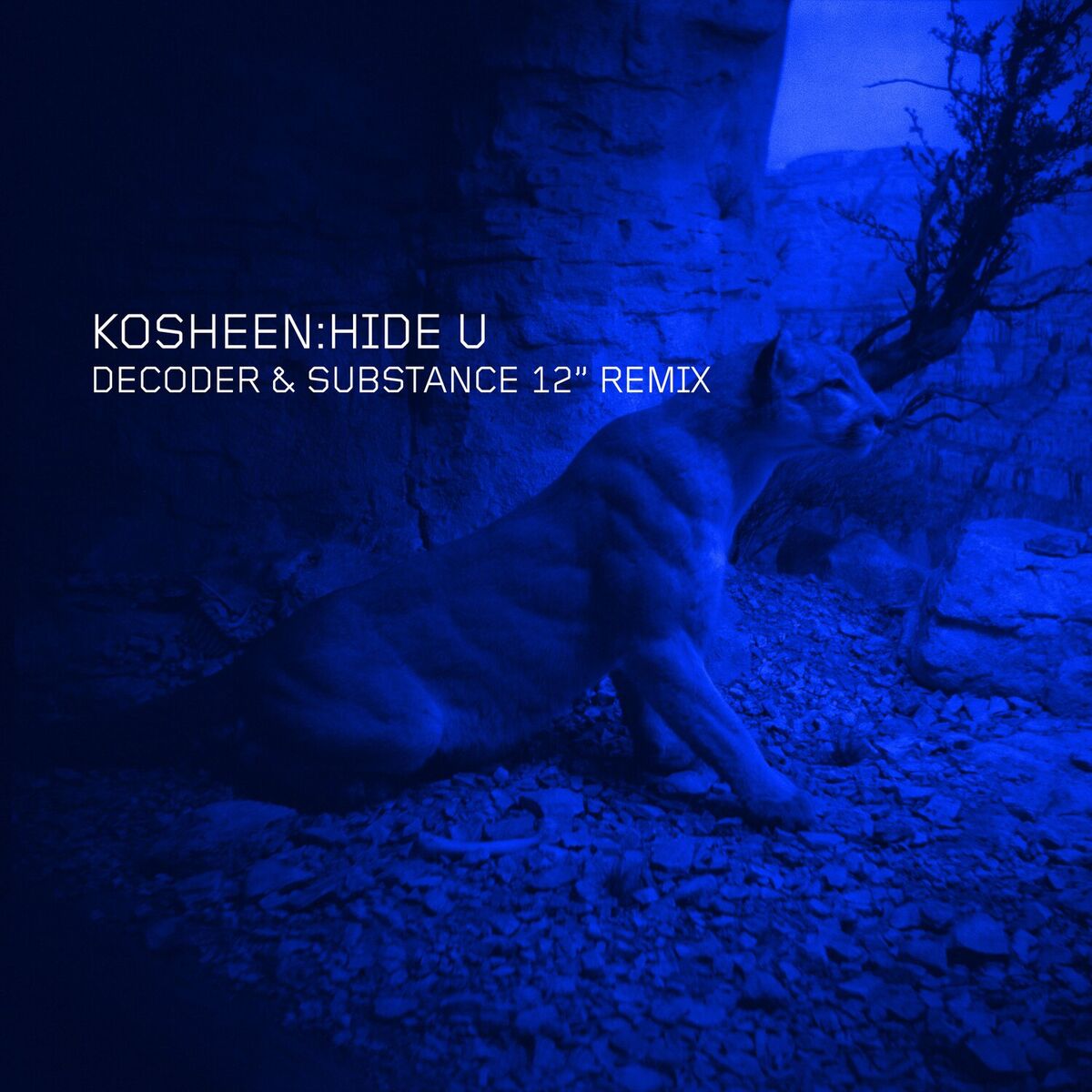 Album cover of Hide U (Decoder & Substance 12