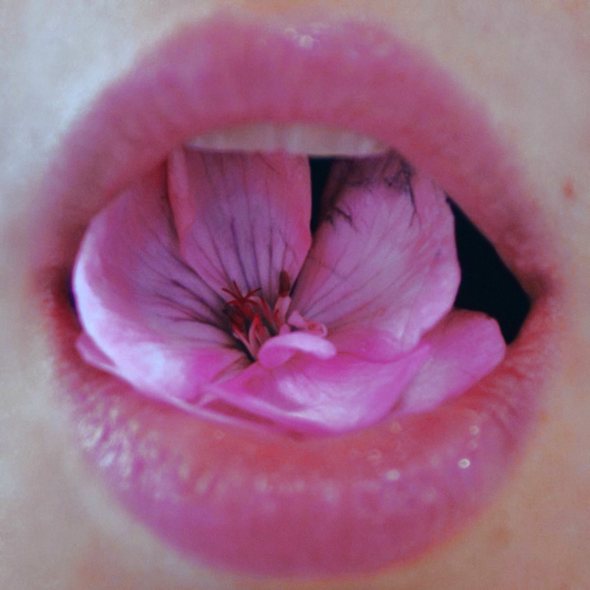 Album cover of Liquida