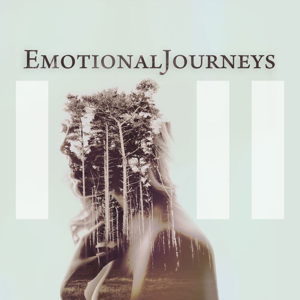Picture of Emotional Journeys