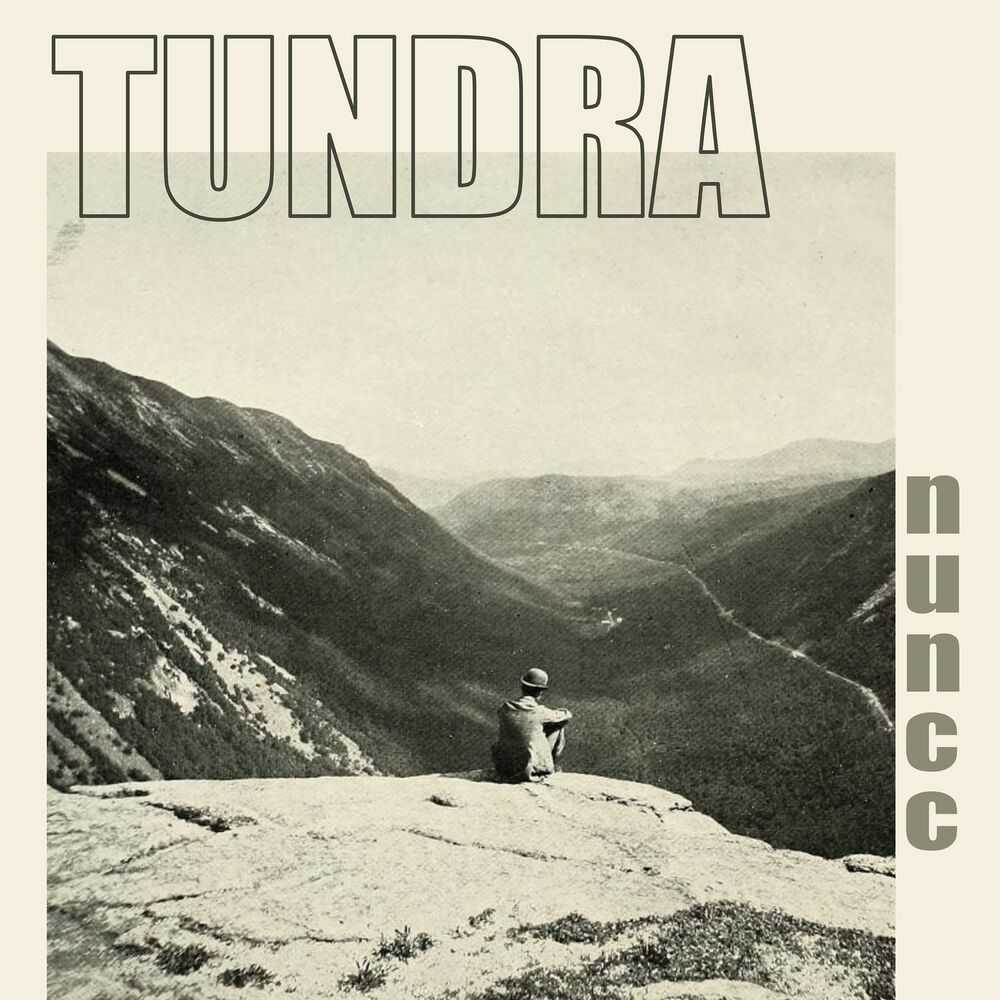 Picture of Tundra