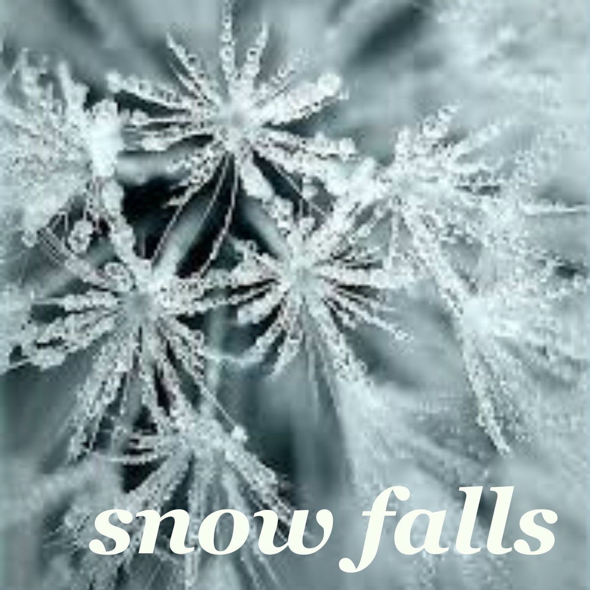 Album cover of Snow Falls