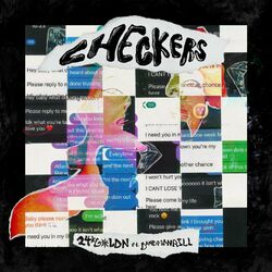 Cover of Checkers