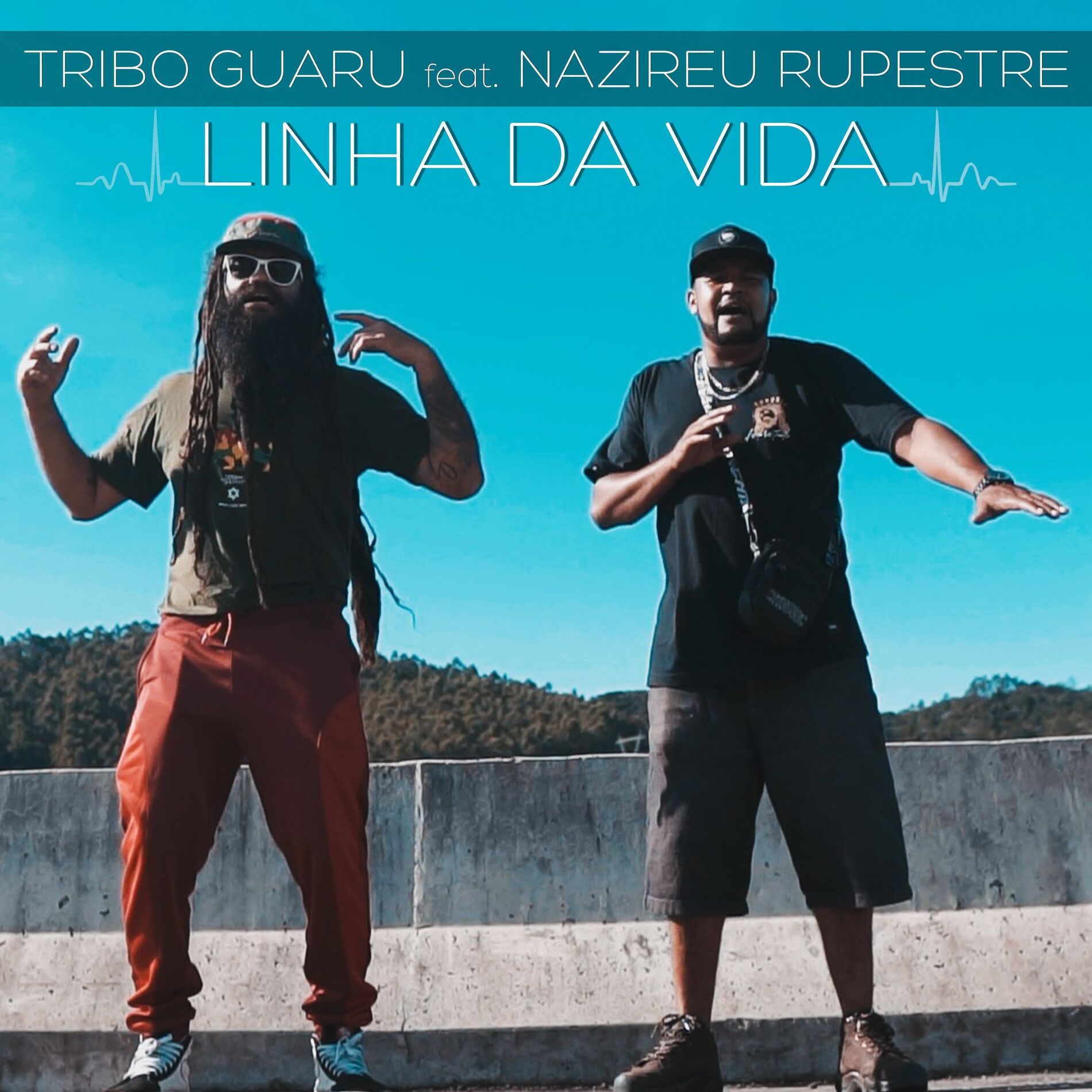 Album cover of Linha da Vida