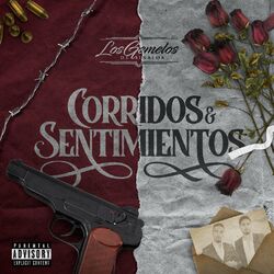 Cover of Corridos y Sentimientos