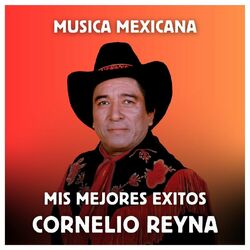 Cover of Música Mexicana - Mis Mejores Exitos