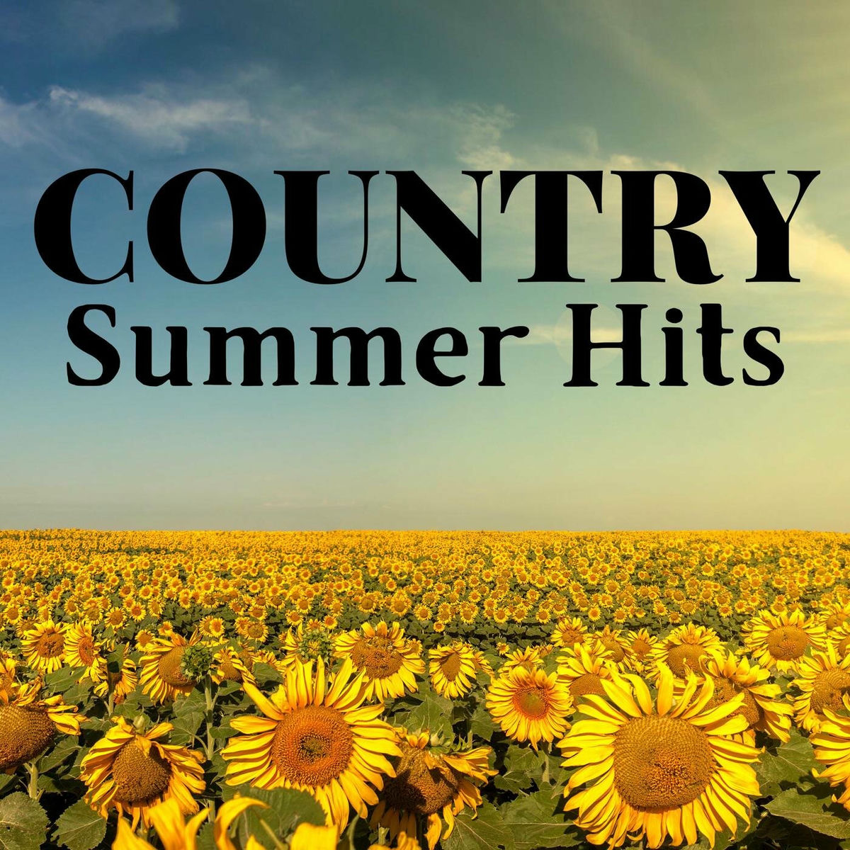 Album cover of Country Summer Hits