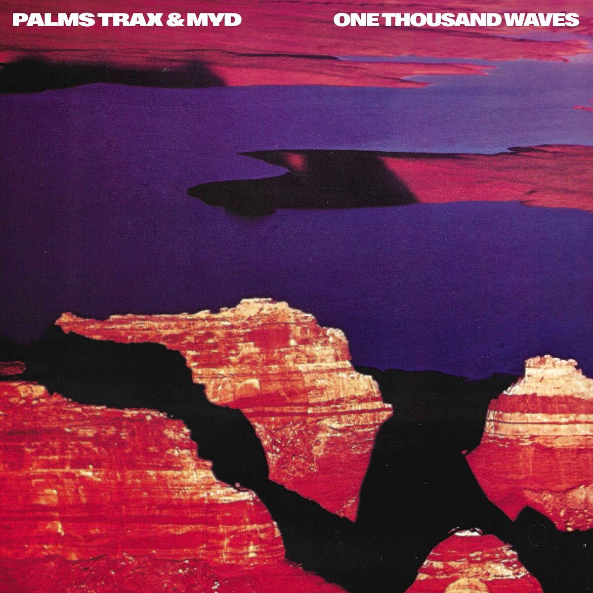 Album cover of One Thousand Waves