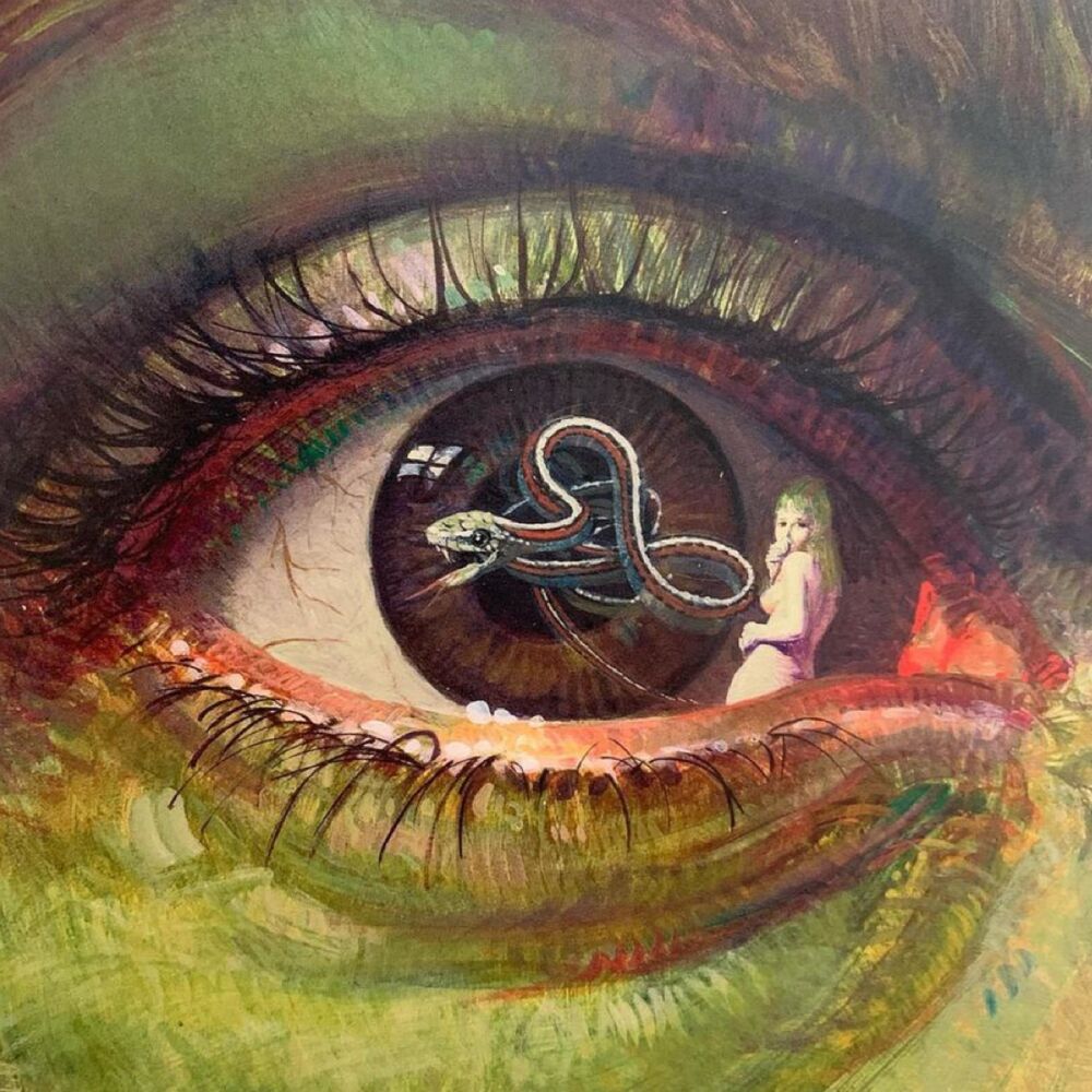 Picture of Snake Eyes