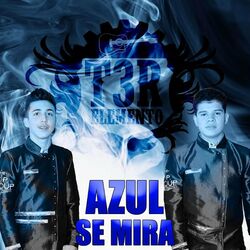 Cover of Azul Se Mira
