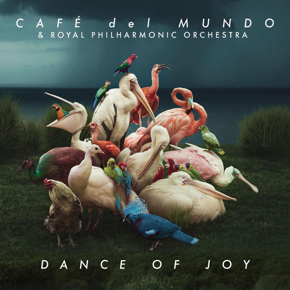 Album cover of Dance of Joy