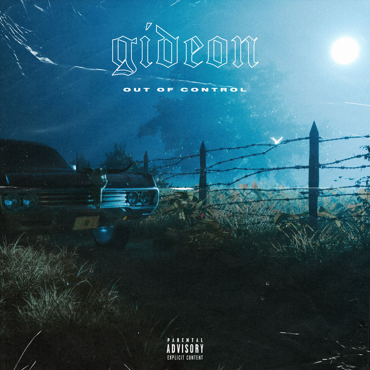 Album cover of DENIAL