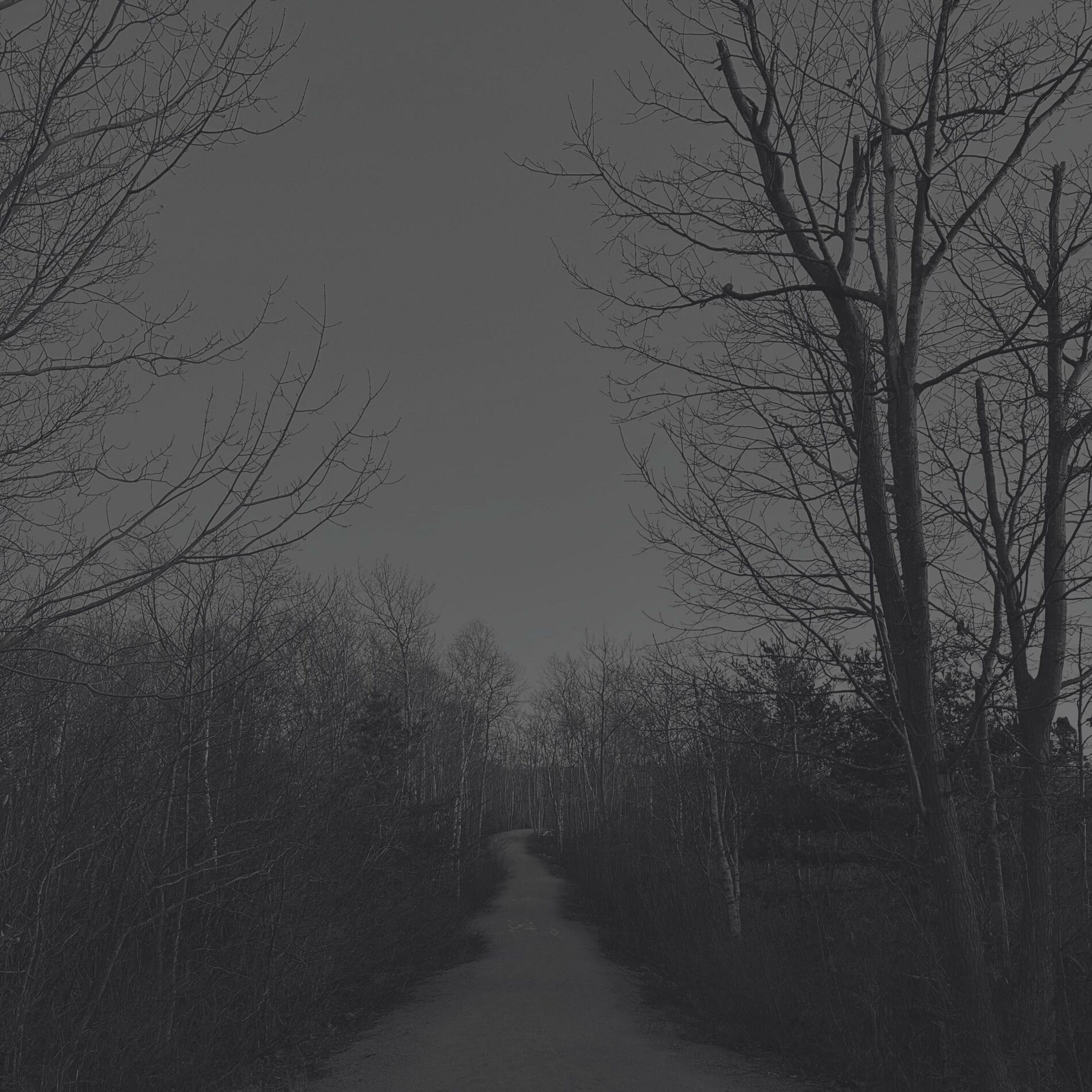 Album cover of The Way (feat. Rose Cousins)