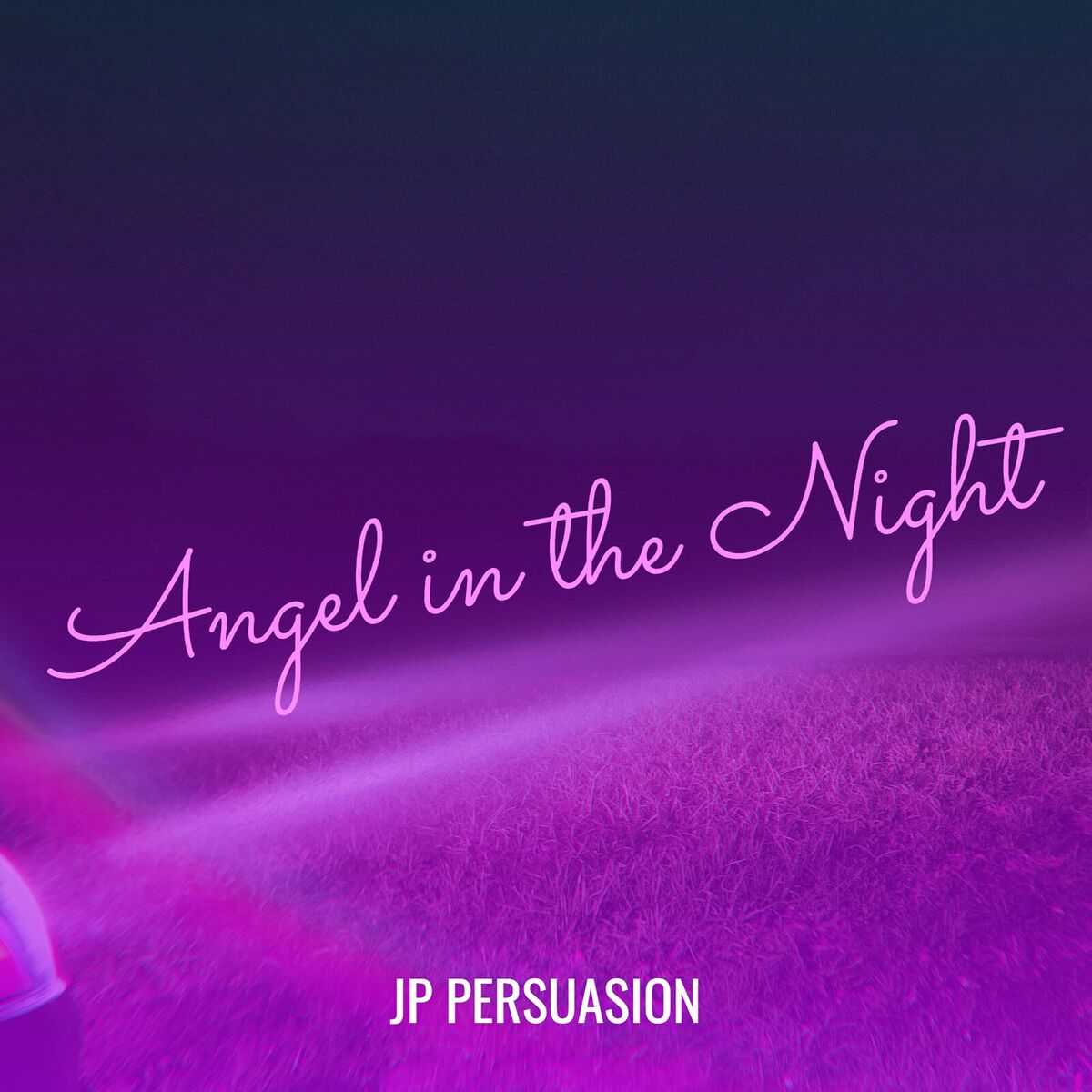Album cover of Angel in the Night
