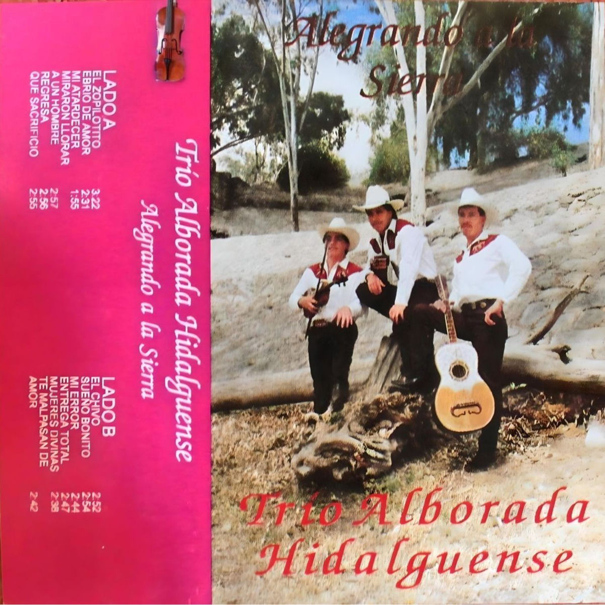 Album cover of Alegrando a la Sierra