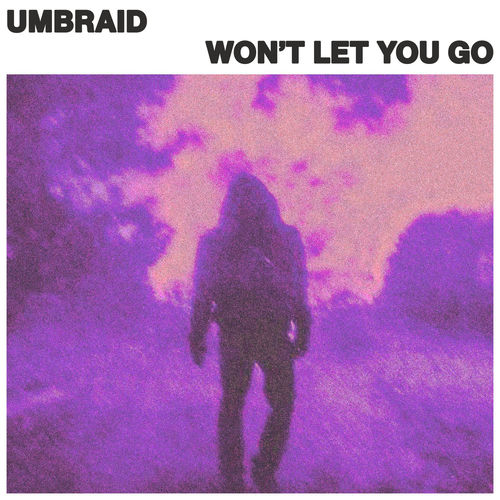 Won't Let You Go