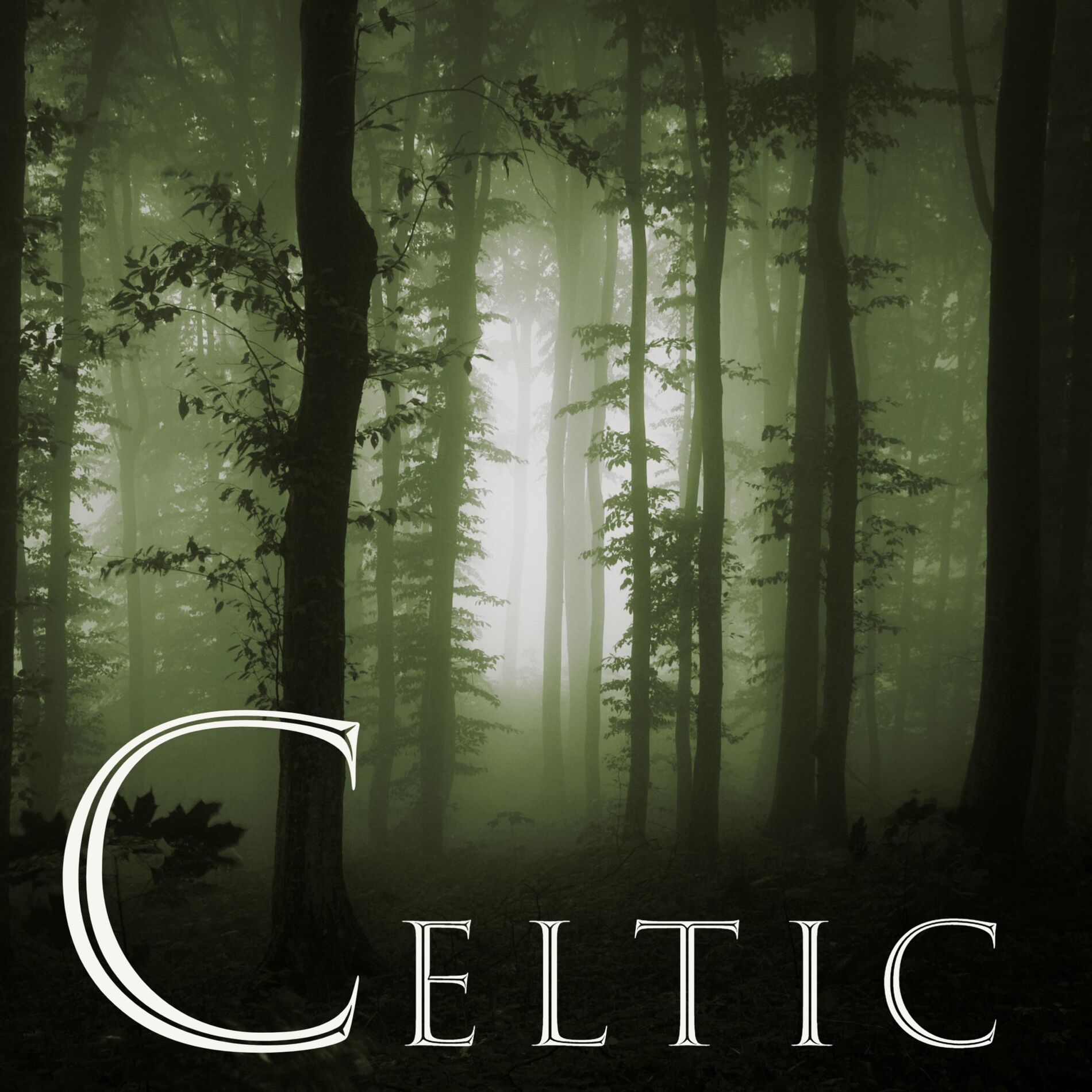 Album cover of Medieval Celtic A Capella Female Vocal