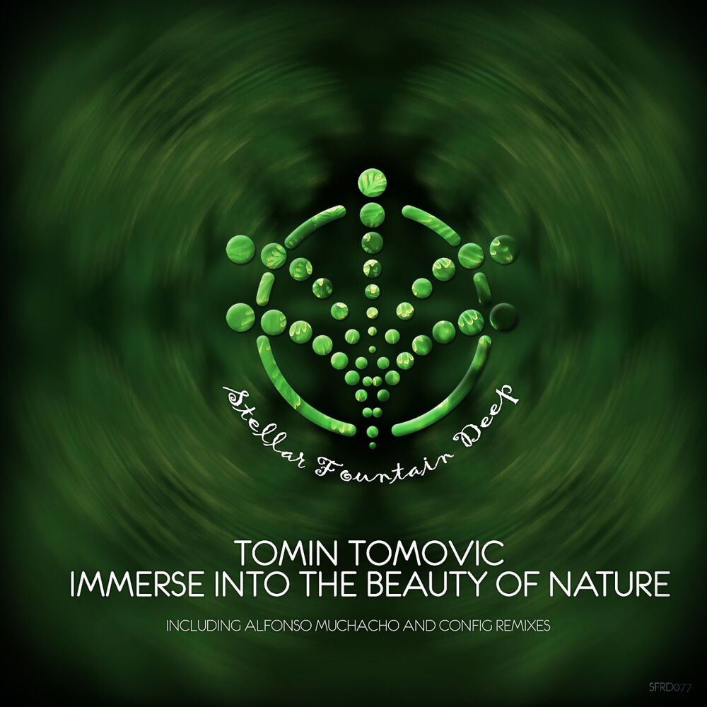 Picture of Immerse Into the Beauty of Nature