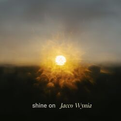 Cover of shine on