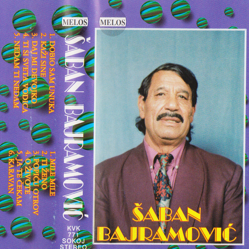 Picture of Saban Bajramovic