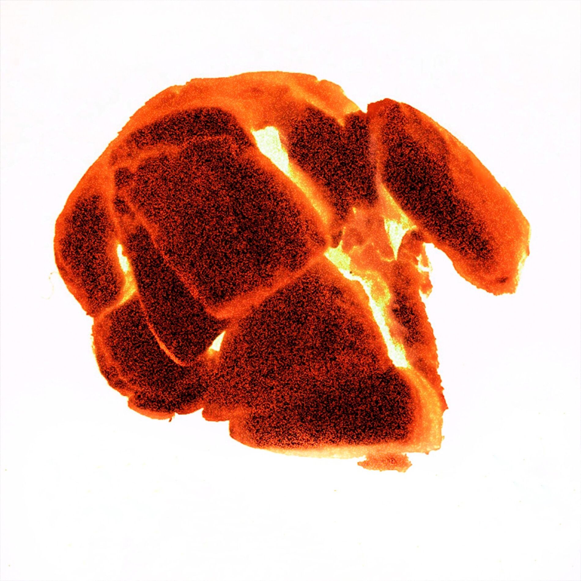 Album cover of LAVA