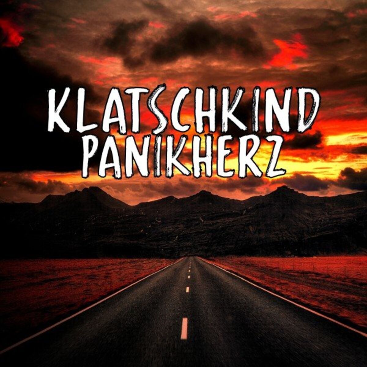 Album cover of Panikherz