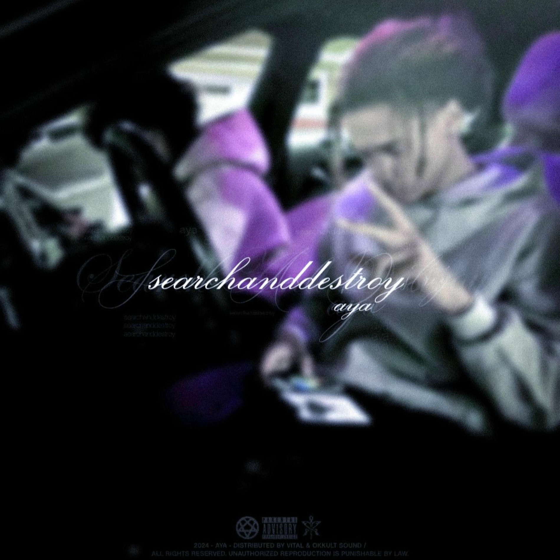 Album cover of searchanddestroy