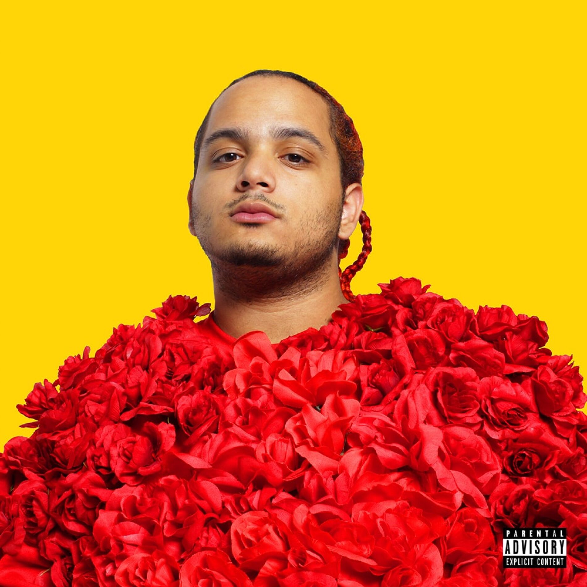 Album cover of Lsdskitrip